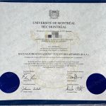 蒙特利尔大学：北极光下的学术创新实验室