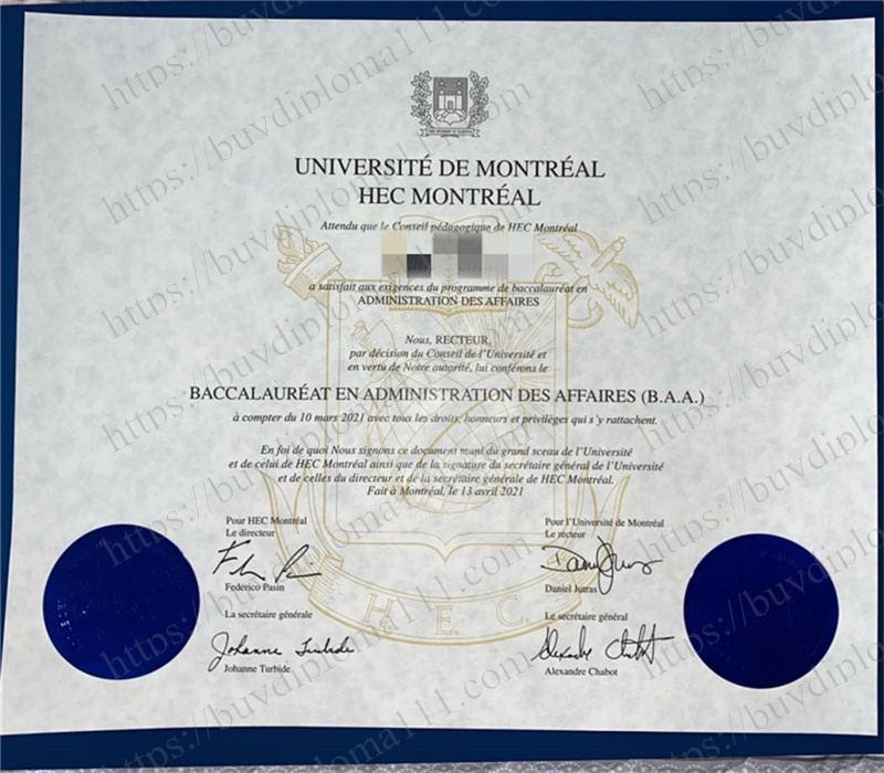 蒙特利尔大学：北极光下的学术创新实验室