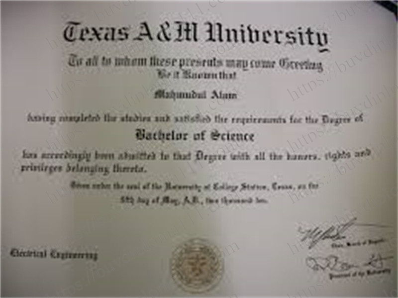 德州农工大学：从农业学院到顶尖研究型大学的创新之路