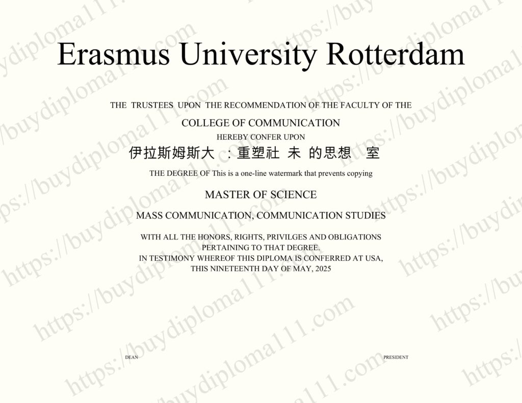 伊拉斯姆斯大学：重塑社会未来的思想实验室