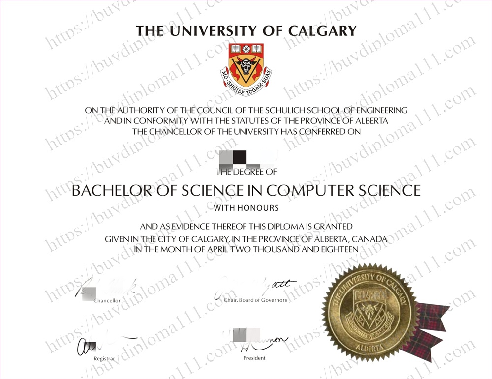 卡尔加里大学：落基山下的创新熔炉