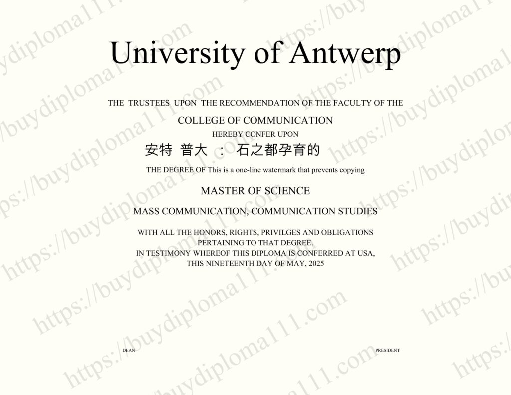 安特卫普大学：钻石之都孕育的学术棱镜