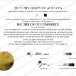 阿尔伯塔大学：解锁北美能源走廊的创新密码