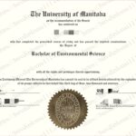 曼尼托巴大学：北极光下的学术先锋与草原智慧