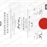 西蒙菲莎：在山海之间重塑高等教育的未来