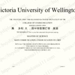 惠灵顿维多利亚大学：南半球智慧灯塔与创意熔炉